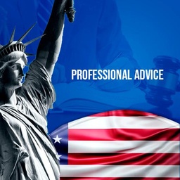 General U.S. Visa Consultation