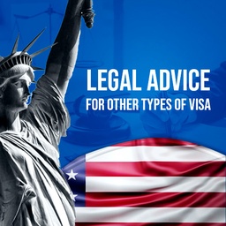 Legal advice for other types of visa